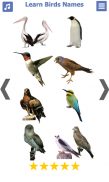 تعليم أسماء الطيور باللغة الان screenshot 2
