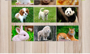 Puzzle Fuzzle Animals(Rompecabezas de animales) screenshot 3