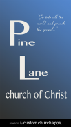 Pine Lane screenshot 3