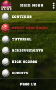 Blind Cricket screenshot 5