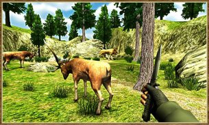 Deer Hunter Games Simulator screenshot 3