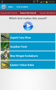 Australian Birds Sounds Free screenshot 16