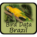 Bird Data - Brazil Icon