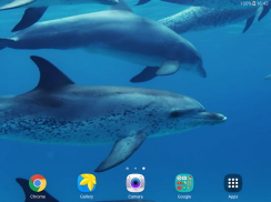 Dolphins Live Wallpaper screenshot 9