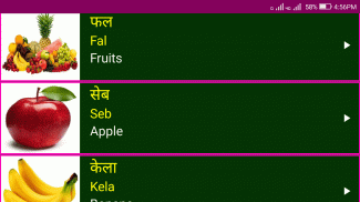 Learn Hindi From English Pro screenshot 1