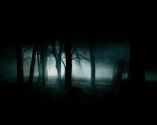 Horror Landscapes Wallpapers screenshot 2