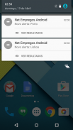 Net empregos Android screenshot 5