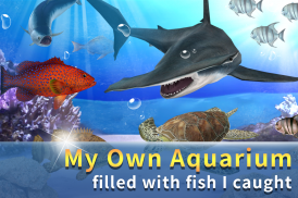 Fishing 1,2,3 :3D Fishing Game screenshot 2