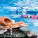 Bamboo Flowers Live Wallpaper