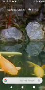 Koi Fish 3D screenshot 2