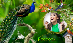 Peacock & Nature Photo Frames screenshot 15