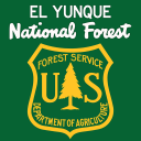 El Yunque National Forest