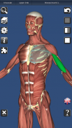 3D Bones and Organs (Anatomy) screenshot 13