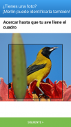 Merlin Bird ID de Cornell Lab screenshot 2