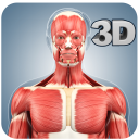 Muscle Anatomy Pro. Icon