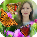 Butterfly Photo Frame