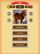 Horse Coat Colors Quiz screenshot 3
