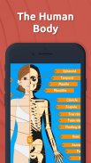 Anatomix: Anatomie lernen quiz screenshot 3