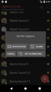 Rabbit and Bunny Sounds screenshot 3