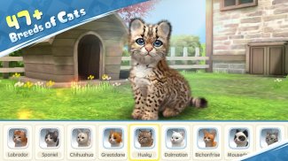 Kitten: Cat Game Simulator screenshot 0