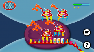 DNA Decoder screenshot 4