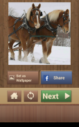 Horse Puzzles Free screenshot 11