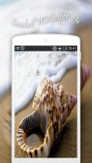 Seashell Wallpapers screenshot 2