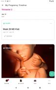 Schwangerschaft Tracker Sprout screenshot 13