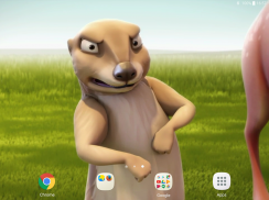 Funny Beaver Live Wallpaper screenshot 7