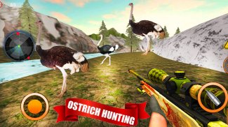 Wild Bird Ostrich Hunting 3D screenshot 3