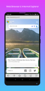 Web Browser: Internet Explorer screenshot 3