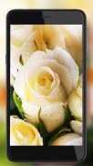 Roses Gallery live wallpaper screenshot 5