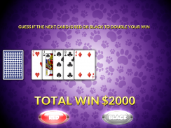 Casino Cash Cats Kitty Slots screenshot 4