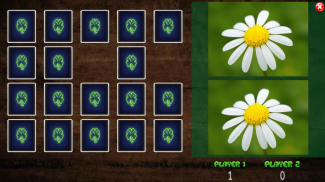 All Vegetals Pairs Memory Game screenshot 16