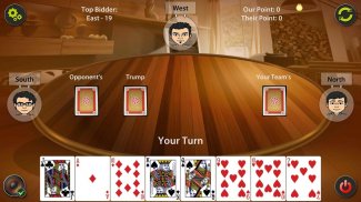 29 Card Game screenshot 8