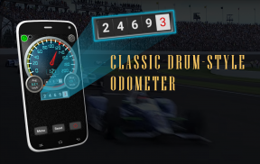 DS Speedometer & Odometer screenshot 2