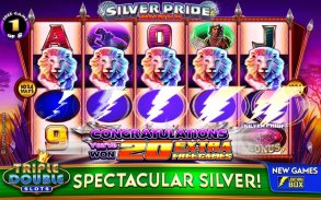 Triple Double Slots - Casino screenshot 10