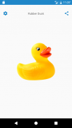 Rubber Duck screenshot 1