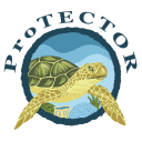 TURT