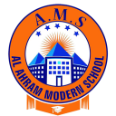 AMS Icon