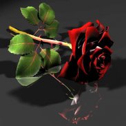 Amazing Flowers Images Gif Rose Stickers Wallpaper screenshot 2