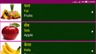 Learn Hindi From English screenshot 5