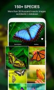 Insect identifier by Photo Cam screenshot 5