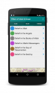 Pillars of Islam & Eemaan screenshot 5