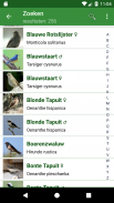 Vogels screenshot 0