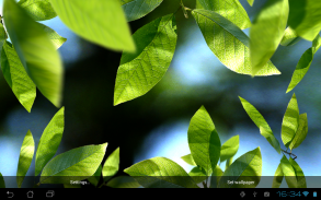 Fresh Leaves screenshot 5