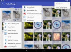 The Other Playlist Manager screenshot 3