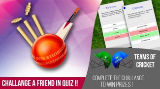 Cricket championship Big Bash 2017 : Best Game screenshot 2