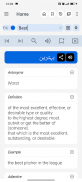 Urdu Dictionary screenshot 15