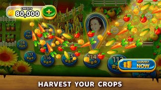 Solitaire - Grand Harvest - Tripeaks - Baixar APK para Android